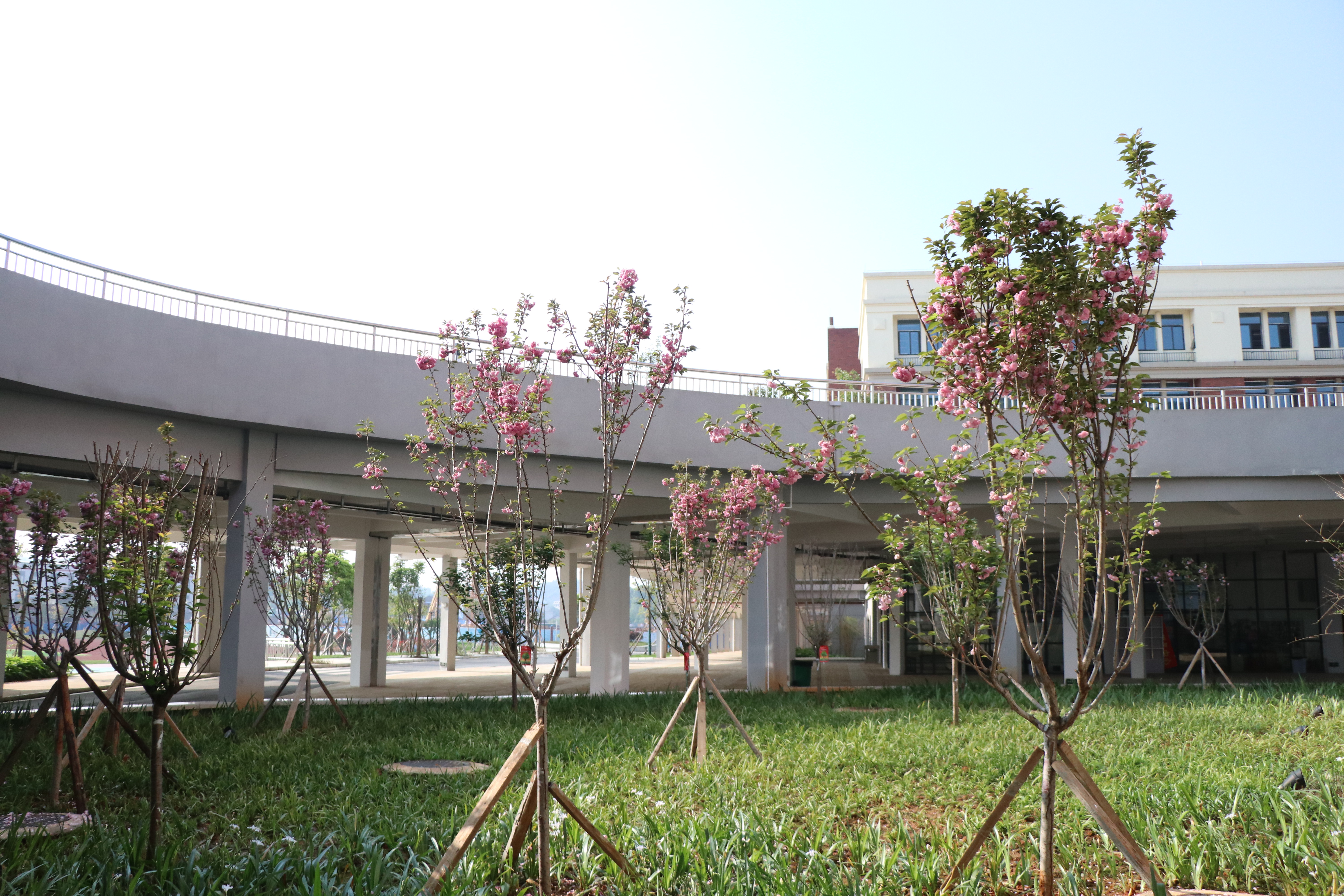 植物園